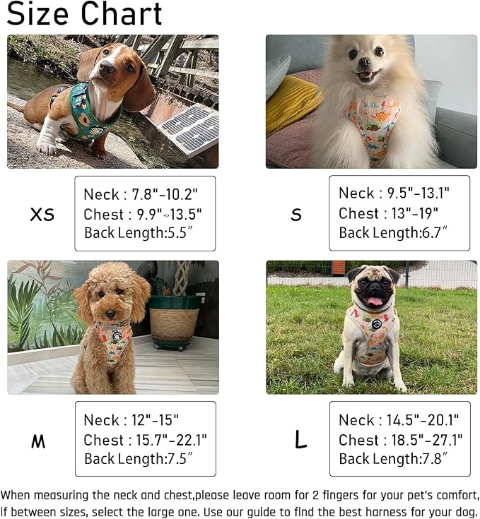 Dog Harness and Leash Set, Adjustable Dog Harness, Dog Leash, No Pull No Choke Puppy Harnesses for Walking Training for Small, Medium Pet (Little Love, L(Chest 19.6-28", Neck 15.7-21.1"))