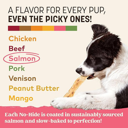 Earth Animal No Hide Strips - Natural Rawhide Free Dog Chew Strips, Salmon - 16 Count
