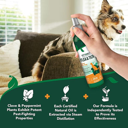 Vet's Best Natural Flea and Tick Spray for Dogs – Plant-Based Flea Repellent with Certified Essential Oils – Natural Pest Control and Prevention – Non-Toxic Formula for Home Use – 8 oz Bottle