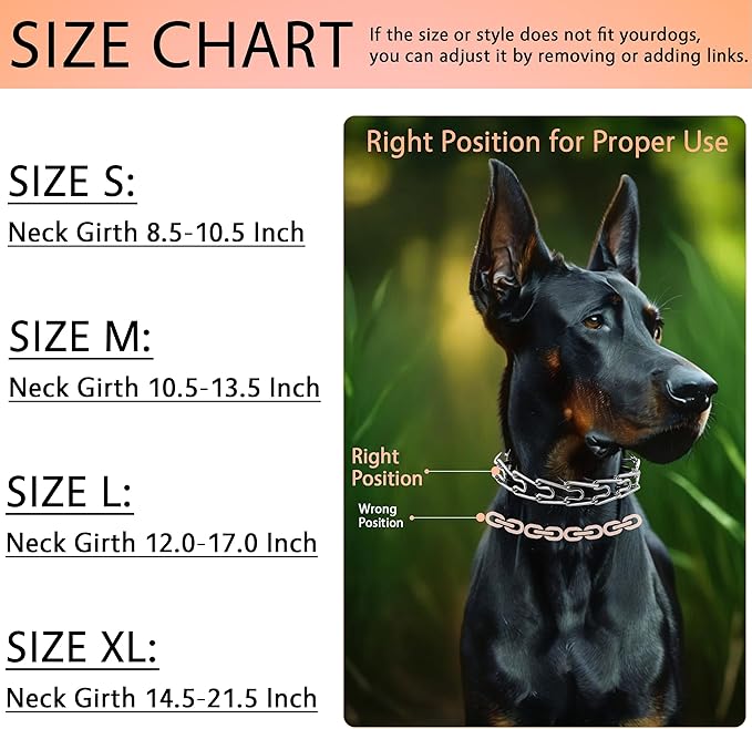 DEYACE Stainless Steel Dog Training Collar, Quick Release Buckle, Adjustable Collar for Small Dogs Neck Girth 8.5"-10.5"