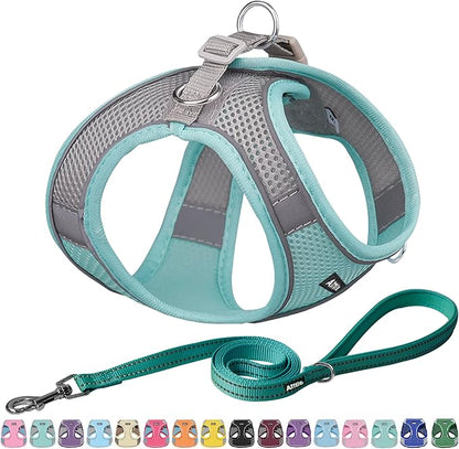 AIITLE Small Harness for Puppy with A Leash - Dog Vest Harness with Super Breathable Mesh, Reflective No-Pull Pet Harness for Outdoor Walking, Running for Small Dogs, Cats Turquoise XXS
