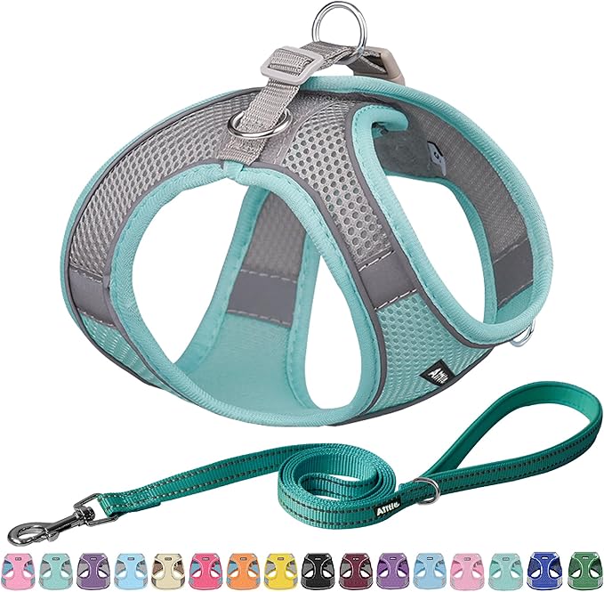 AIITLE Step in Dog Harness and Leash Set - No Pull Escape Proof Vest Harnesses with Soft Mesh and Reflective Bands, Adjustable Pet Outdoor Harnesses for Small and Medium Dogs Turquoise M