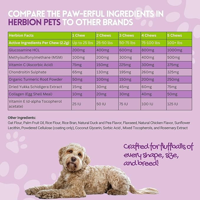 HERBION Pets Joint Care Chews with Glucosamine & Turmeric, 120 Soft Chews, MSM & Chondroitin for Pain Relief, Improves Mobility, Supports Healthy Joints, Made in USA, for Dogs 12 Weeks+, Pack of 1