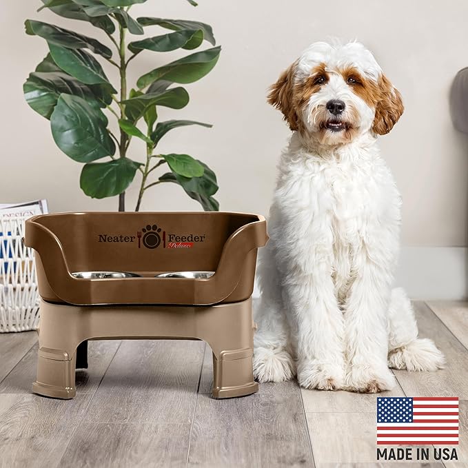 Neater Feeder Deluxe Mess-Proof Elevated Dog Bowls for Medium Dogs (19–40 lbs), 2 Height Adjustable (10” & 12.5”) No-Spill Raised Dog Bowl Stand, Stainless Steel Food Bowl Set, Made in USA, Bronze