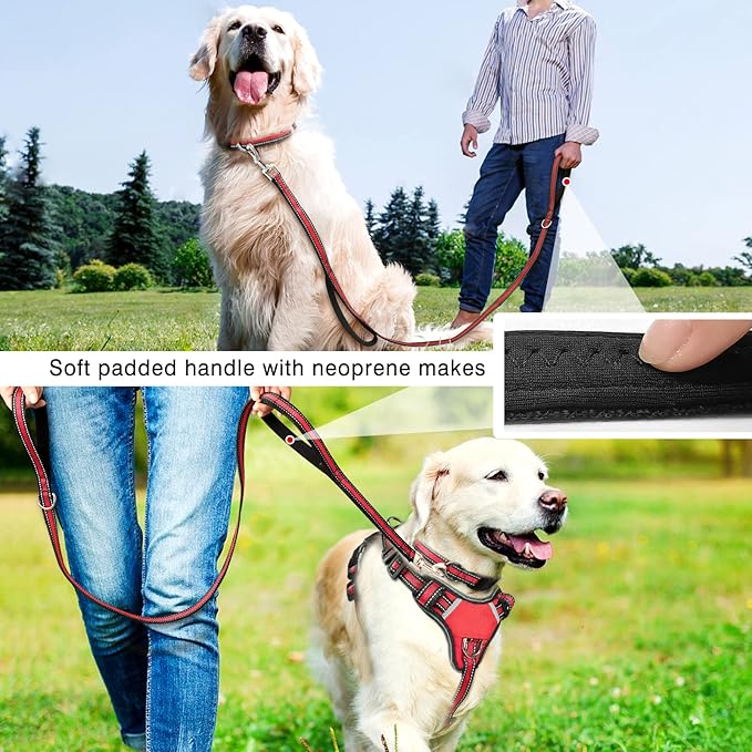 WINSEE Pet Harness Collar and Leash Set, All-in-one Reflective Dog Harness No Pull with Adjustable Buckles for Puppies, Small, Medium, Large, and Extra-Large Dogs (Medium, Red)