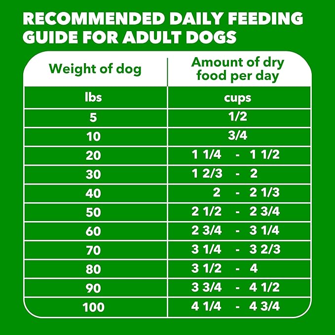 IAMS Proactive Health Dry Dog Food, Adult Dog Food Dry Recipe, Beef & Rice Recipe, 30 lb. Bag
