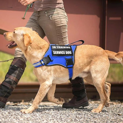 Service Dog Vest Harness and Leash Set+10 Patches,No Pull&Easy Walk Reflective Dog Harness with Soft Padded Handle for Training/Everyday,Fit Small/Medium/Large/Extra-Large Dogs (Blue L)
