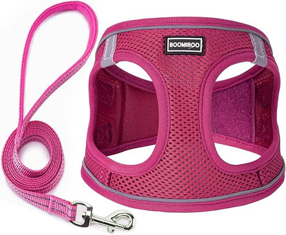 Dog Harness with Leash Set, No Pull Adjustable Reflective Step-in Puppy Pet Vest Harnesses for Small Medium Large Dogs and Cats,Rose Red XL
