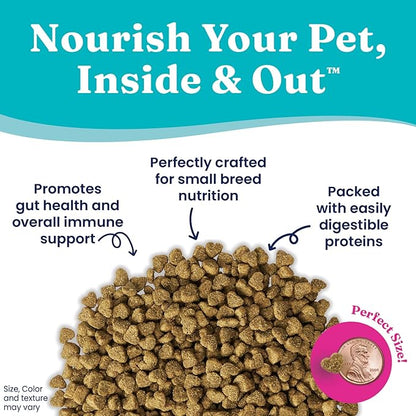 Solid Gold Toy & Small Breed Dry Dog Food Small Bites – Real Beef, Grain Free, Gluten Free, High Fiber Kibble with Probiotics for Gut Health & Digestion Support – Healthy Dog Food All Ages – 11LB