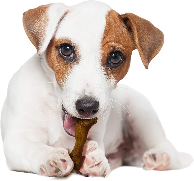 Nylabone Healthy Edibles WILD Natural Dog Chew Treats for Small Dogs, Long Lasting Dog Healthy Chew Bones Made in USA, Bison Flavor, For Dogs Up to 25 lbs. (8 Count)