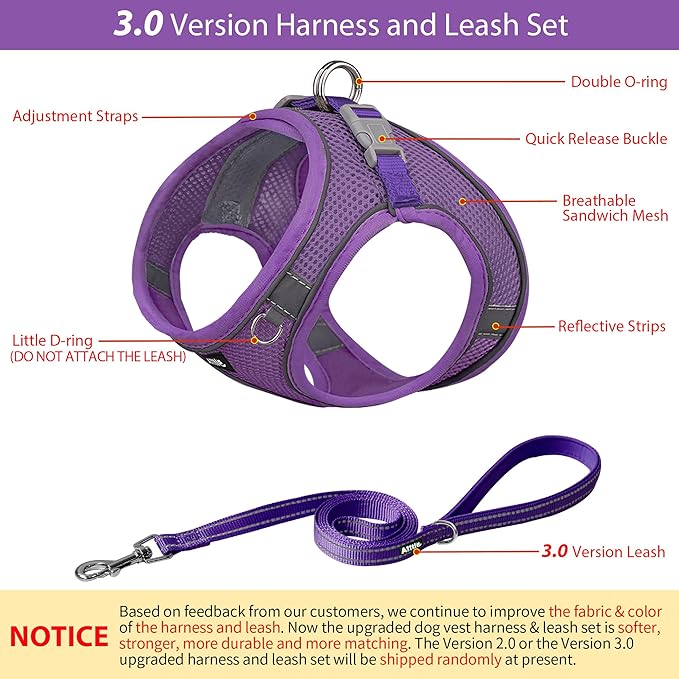 AIITLE No Pull Dog Harness and Leash Set, Step in Adjustable Dog Harness with Padded Vest for All Weather, Dog Leash with Soft Padded Handle, Easy to Put on Small and Medium Dogs Pure Purple S