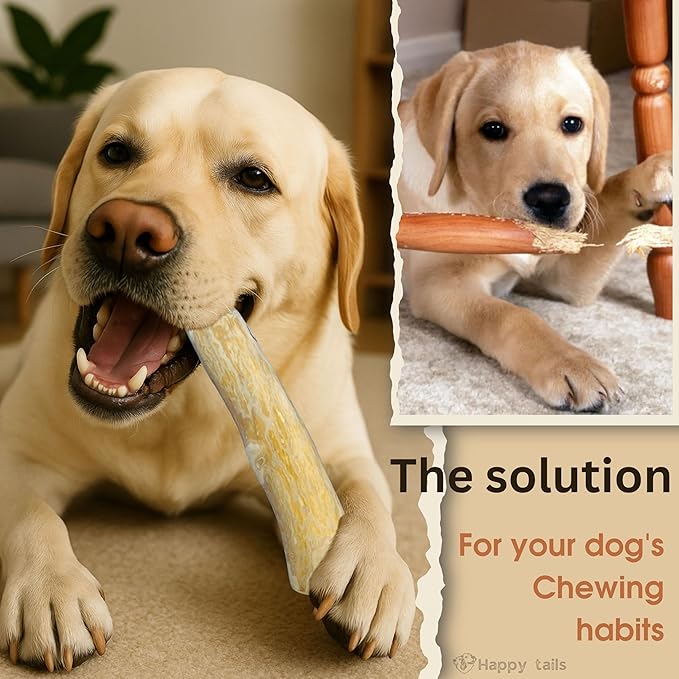 Set of 1 Coffee Wood Dog Chew Stick Toy for Dog, Natural and Real Wooden Bone Sticks for Pets, Safe Dental Cleaning Chews, Pets Health, Teeth Cleaning and Relieve Stress (Small)