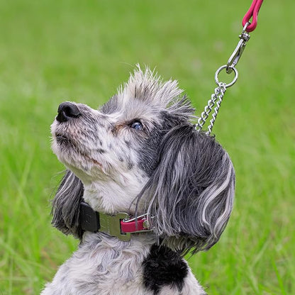Herm Sprenger Chrome Plated Steel Dog Collar with Quick Release ClicLock Buckle O-Ring Biothane Insert Training Collar Made in Germany (Passionfruit Pink, 16in x 2.25mm(Neck Size up to 13-14in))