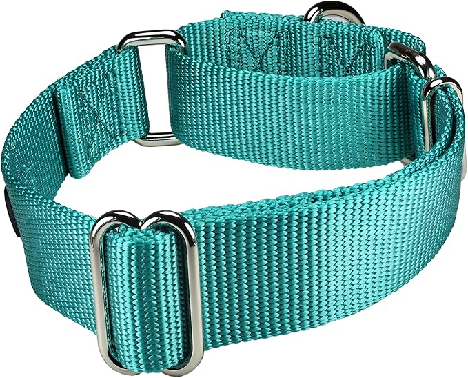 Mikivery Martingale Dog Collar Nylon Adjustable and Safety Training Colourful Comfortable Metal Buckle Pet Collars for Small Medium and Large Dogs(Teal,M)