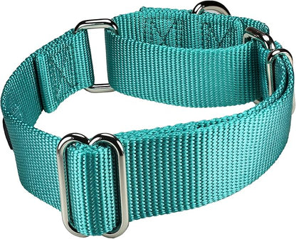 Mikivery Martingale Dog Collar Nylon Adjustable and Safety Training Colourful Comfortable Metal Buckle Pet Collars for Small Medium and Large Dogs(Teal,M)
