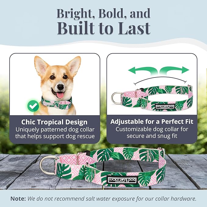 Lucky Love Dog Martingale Dog Collar - Adjustable, No-Slip, Comfortable, Durable, Soft Webbing & Stylish Patterned Collar for Male and Female Dogs Ideal for Training & Walking - Laguna, Small