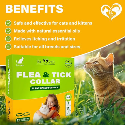 Natural Flea & Tick Collar for Cats - 12 Months Control of Best Prevention & Safe Treatment - Anti Fleas and Ticks Essential Oil Repellent (1 Count)