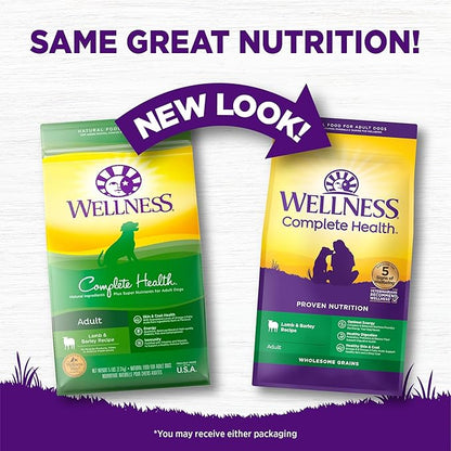 Wellness Complete Health Adult Dry Dog Food, Wholesome Grain Kibble, Natural, Lamb and Barley Recipe, 26 lb Bag