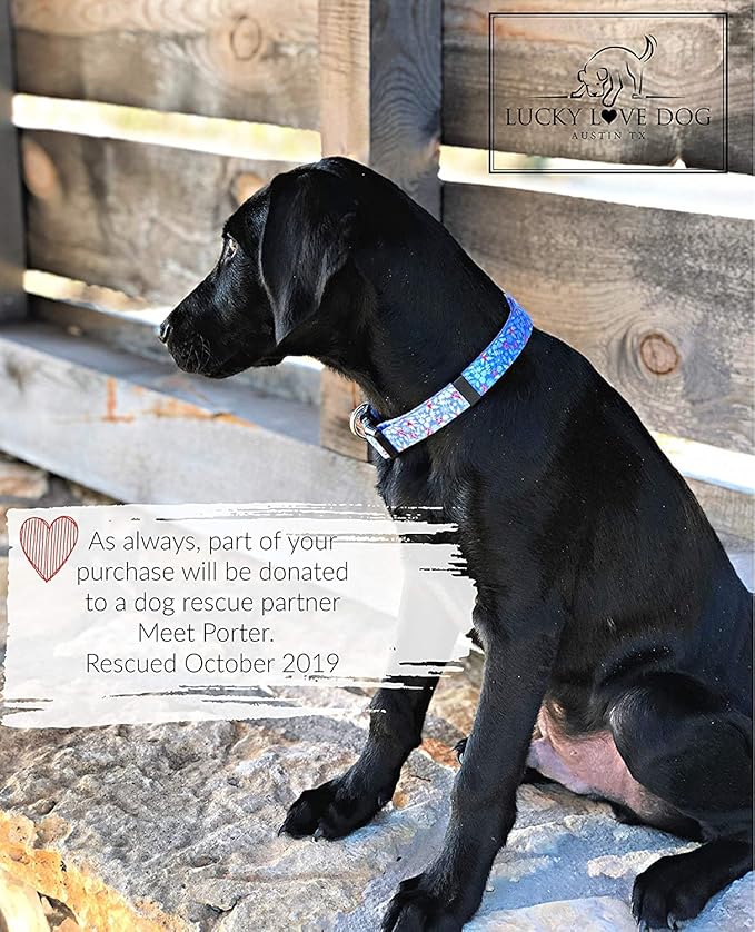 Lucky Love Dog Dog Collar, Leash Set Small, Premium, Cute and Adjustable Collars for Male and Female Dogs, Winterblue Combo, Extra Small