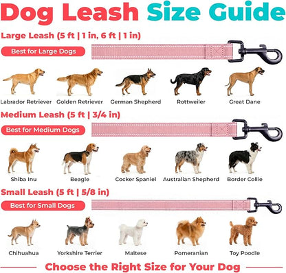 Best Pet Supplies Voyager Reflective Dog Leash or Collar with Neoprene Handle, for Small, Medium, and Large Breed Puppies, Cute and Heavy Duty for Walking, Running and Training - Soft Pink (Leash), M