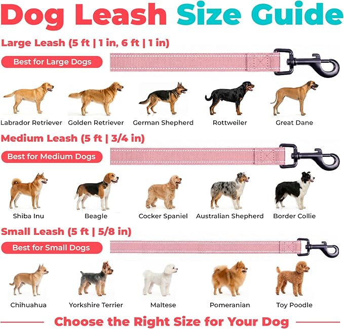 Best Pet Supplies Voyager Reflective Dog Leash or Collar with Neoprene Handle, for Small, Medium, and Large Breed Puppies, Cute and Heavy Duty for Walking, Running and Training - Pink (Leash), S