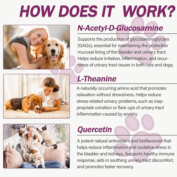 Natural UTI Treatment for Cats & Dogs – Antibiotic-Free Urinary Tract Infection Support Supplement – Bladder & Kidney Health – Incontinence Prevention – 30 Capsules