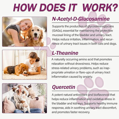 Natural UTI Treatment for Cats & Dogs – Antibiotic-Free Urinary Tract Infection Support Supplement – Bladder & Kidney Health – Incontinence Prevention – 30 Capsules