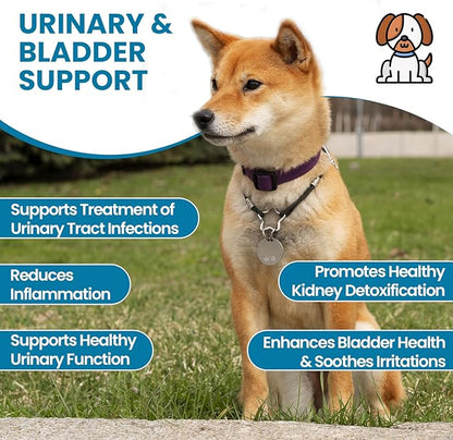 Replenish Urinary Tract Chews for Dogs - Cranberry Extract Chews - Dog UTI Treatment - Immune System Boost - Dog Urinary Health Chews for Senior Dogs - Bladder Support Chews - 60 Counts