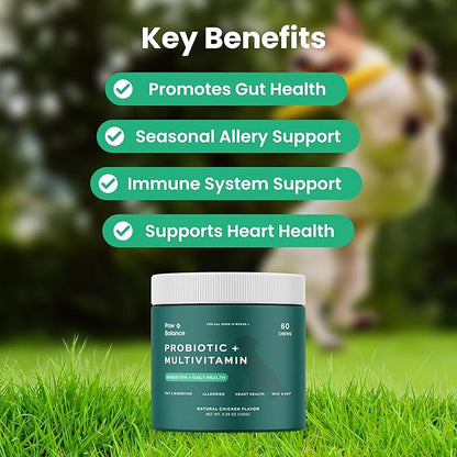 Dog Probiotics and Multivitamin Chews for Allergies, Digestive Health, Immune Support, Gut Health, Allergy Relief, Dog Vitamins, with Vitamin C, Omega 3, Colostrum, 60 Soft Chews per Jar