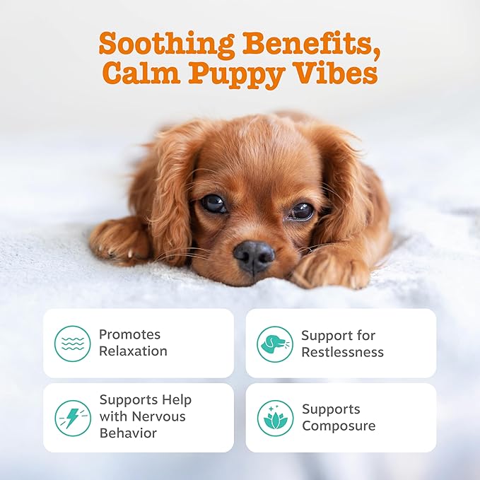 Zesty Paws Calming Chews for Dogs - for Everyday Stress, Relaxation, Composure, and Separation, Puppy Bites Turkey 90 Count