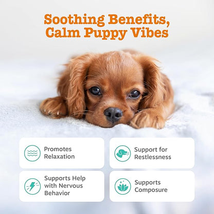 Zesty Paws Calming Chews for Dogs - for Everyday Stress, Relaxation, Composure, and Separation, Puppy Bites Turkey 90 Count