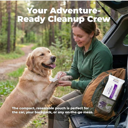 Best Pet Supplies 8" x 9" Large Dog Wipes - Cleaning and Deodorizing for Paws and Coat - Gentle Formula with Lavender Vitamin E for Puppies and Cats - 100 Count