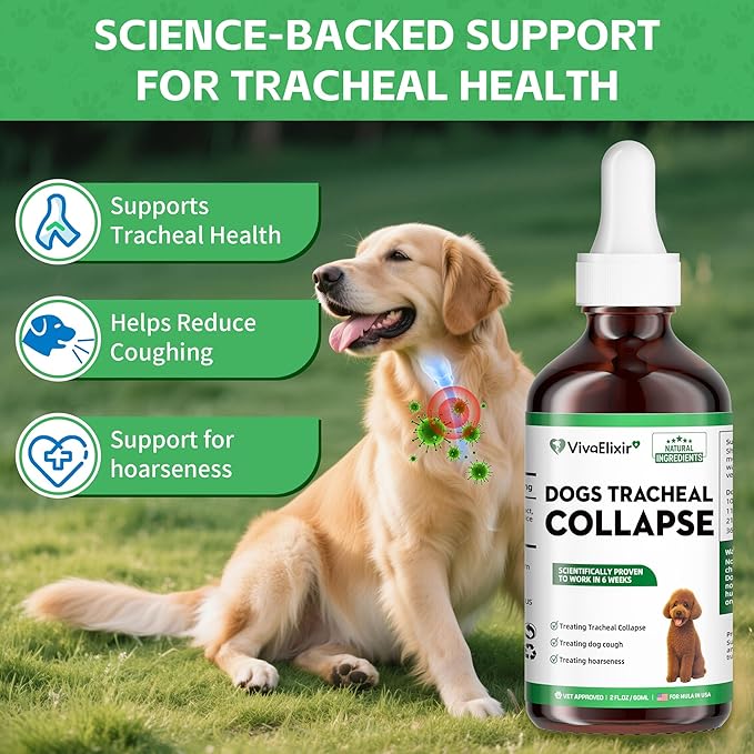 Dog Cough Treatment Liquid – Tracheal Collapse Support for Dogs – Herbal Drops with Slippery Elm, Mullein & Olive Leaf – Helps Soothe Throat, Calm Coughing & Support Breathing