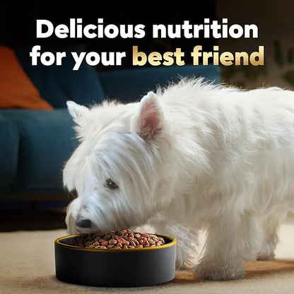 Cesar Small Breed Dry Dog Food for Small Dogs, Porterhouse Flavor and Spring Vegetables Garnish, 5 lb Bag