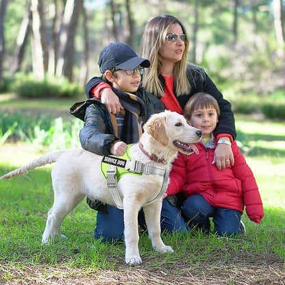 voopet Emotional Support Dog Harness, Professional Service Dog Vest Harness for Small Medium Large Dogs, Reflective Breathable and Adjustable No Pull/Choke ESA Essential Harness