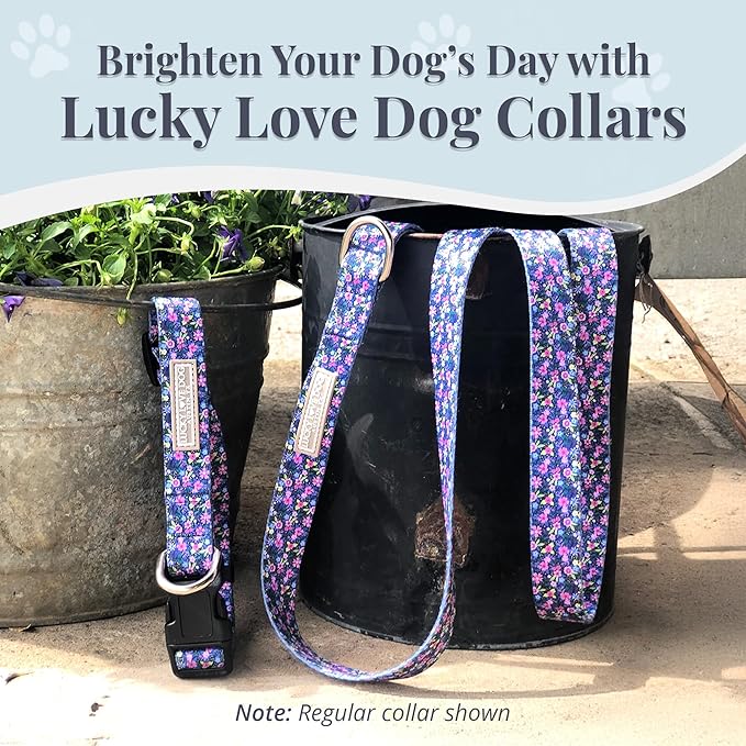 Lucky Love Dog Martingale Dog Collar - Adjustable, No-Slip, Durable, & Soft Webbing Collar for Male and Female Dogs Ideal for Training & Walking - Primrose, Large