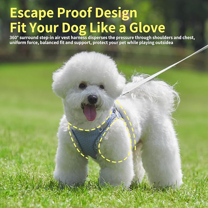 Step in Dog Harness and Leash Set, No Pull Escape Proof Vest Harness with Soft Diamond Mesh and Reflective Bands, Adjustable Pet Outdoor Harnesses for Medium Size Dogs Lavender M