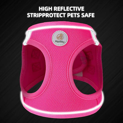 Hipubby Dog Harness and Leash Set, No Pull Soft Mesh Puppy Harness for Small Medium Dogs, Cats - Step in Reflective Breathable Lightweight Vest Harness for Walking, Training - Rose Red, XXS