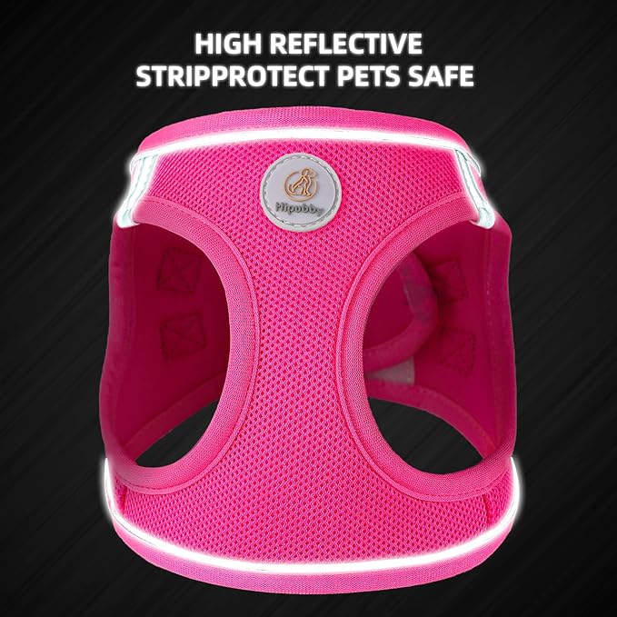 Hipubby Dog Harness and Leash Set, No Pull Soft Mesh Puppy Harness for Small Medium Dogs, Cats - Step in Reflective Breathable Lightweight Vest Harness for Walking, Training - Rose Red, S