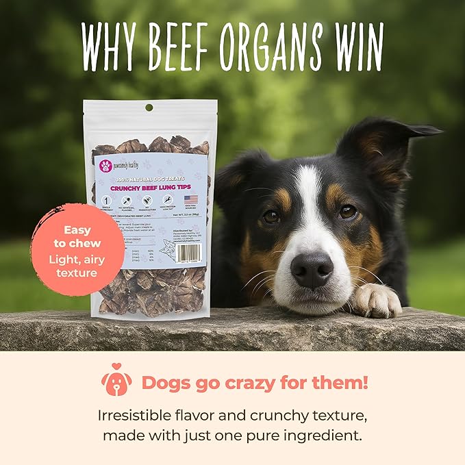 Crunchy Variety Bundle, Includes Beef Liver, Lung & Spleen Jerky, Vitamin-Rich & High-Protein Healthy Treats for Dogs, Rawhide-Free Air-Dried Treats for Puppies, Adults & Seniors, Made in USA