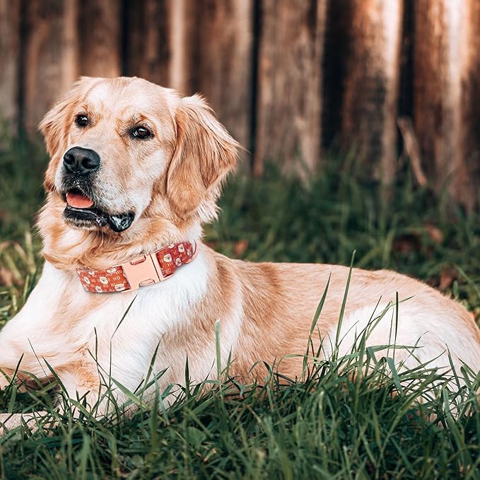 Christmas Dog Collar and Leash Set Girls Adjustable Puppy Collars with Christmas Bow Tie for Small Medium Large Female Dogs, Red Santa Claus, L