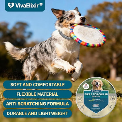 Flea Collars for Dogs, Dog Flea & Tick Control Flea Collar 12 Months Protection, Waterproof Dog Flea Collar, Flea Prevention for Dogs with Comb and Prevention Treatment Drop, 2Pack