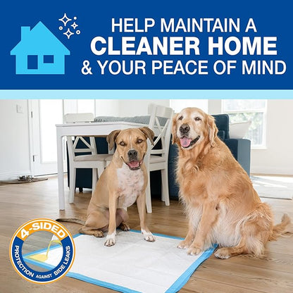 Four Paws Wee-Wee Superior Performance Unscented Extra-Large Pee Pads for Dogs & Puppies, Quilted Leak-Proof Dog Housebreaking Potty Training Floor Protection, 28" x 34", 40 Count