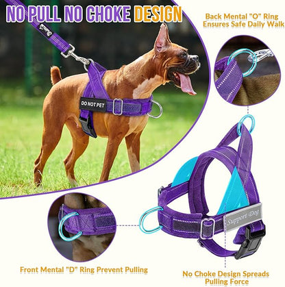 SlowTon No Pull Dog Harness - Heavy Duty Dog Harness and Leash Set for Medium Large Dogs, Reflective Tactical Harness with Soft Padded and Front Clip for Easy Walk and Training (PU, S)