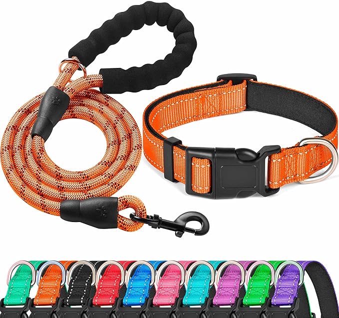 Ladoogo Reflective Dog Collar Padded with Soft Neoprene Breathable Adjustable Nylon Dog Collars for Small Medium Large Dogs (X-Small (Pack of 1), Orange Collar+Leash)
