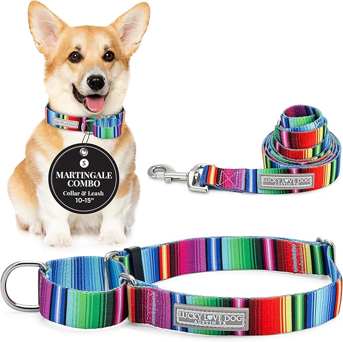 Lucky Love Dog Martingale Dog Collar & Leash - Adjustable, No-Slip, Durable, Comfortable, Soft Webbing, & Stylish Patterned Collar & Leash Set for Male and Female Dogs - Nacho Combo, Small
