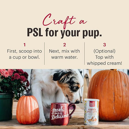 The Honest Kitchen Human Grade Pumpkin Spice Latte, 4oz Canister