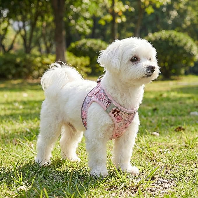 Mihqy Step in Dog Harness and Leash Set, Reflective Adjustable No Pull Dog Harness for Extra-Small/Small Dogs Puppy and Cats, Soft Padded Mesh Vest Harnesses for Girl and Boy Pets(Pink Grid,S)