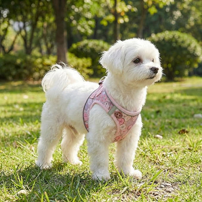 Mihqy Step in Dog Harness and Leash Set, Reflective Adjustable No Pull Dog Harness for Small Medium Dogs Puppy and Cats, Soft Padded Mesh Vest Harnesses for Girl and Boy Pets(Pink Grid,L)