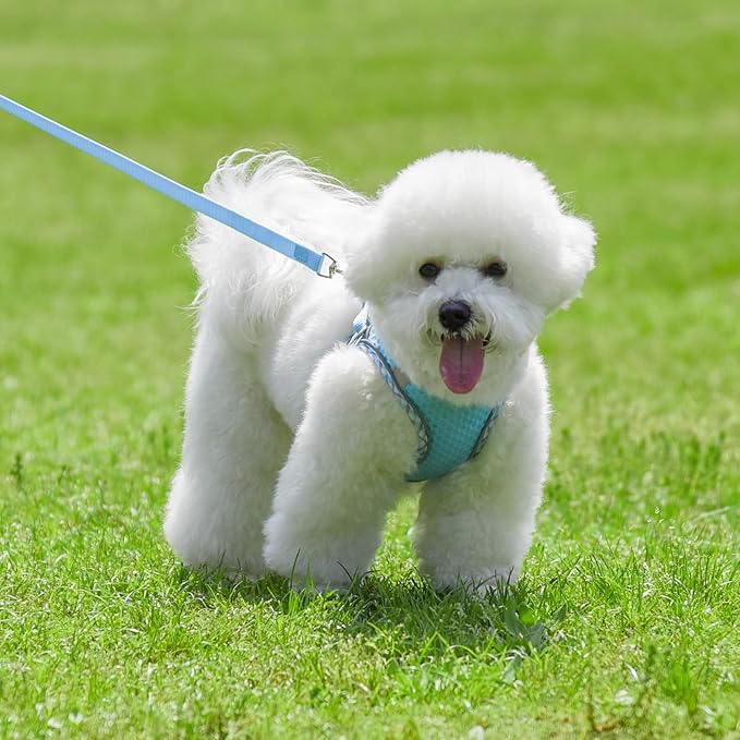 Summer Dog Harness and Leash Set, Soft Dog Vest Harness with Super Breathable Diamond Mesh, Reflective No-Pull Pet Harness for Outdoor Walking, Training for Small Dogs, Cats Blue XXS